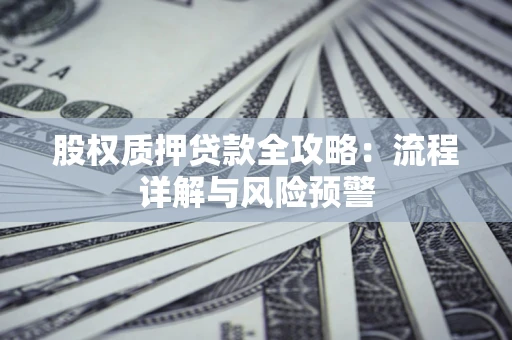 武汉股权质押贷款全攻略：流程详解与风险预警