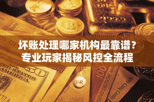 武汉坏账处理哪家机构最靠谱？专业玩家揭秘风控全流程