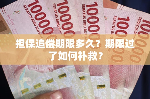 武汉担保追偿期限多久？期限过了如何补救？