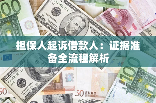 武汉担保人起诉借款人：证据准备全流程解析