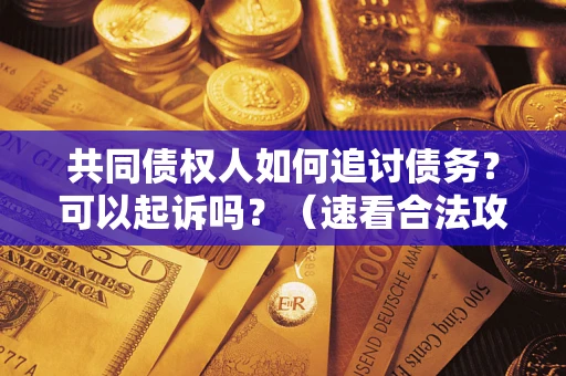 武汉共同债权人如何追讨债务？可以起诉吗？（速看合法攻略）