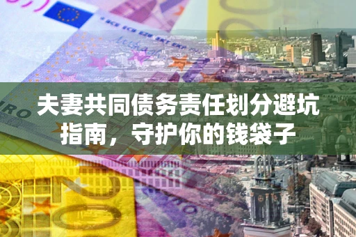 武汉夫妻共同债务责任划分避坑指南，守护你的钱袋子