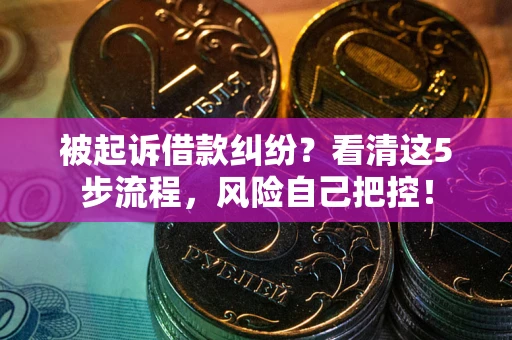 武汉被起诉借款纠纷？看清这5步流程，风险自己把控！