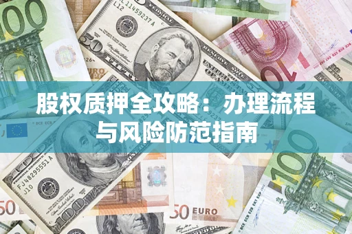 武汉股权质押全攻略：办理流程与风险防范指南