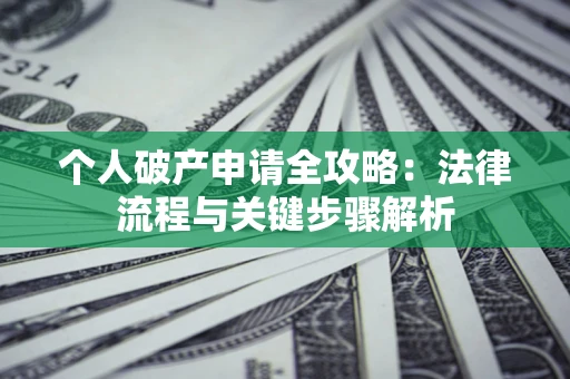 武汉个人破产申请全攻略：法律流程与关键步骤解析
