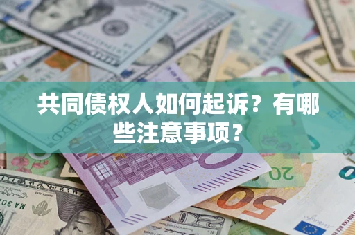 武汉共同债权人如何起诉？有哪些注意事项？