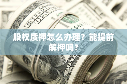 武汉股权质押怎么办理？能提前解押吗？